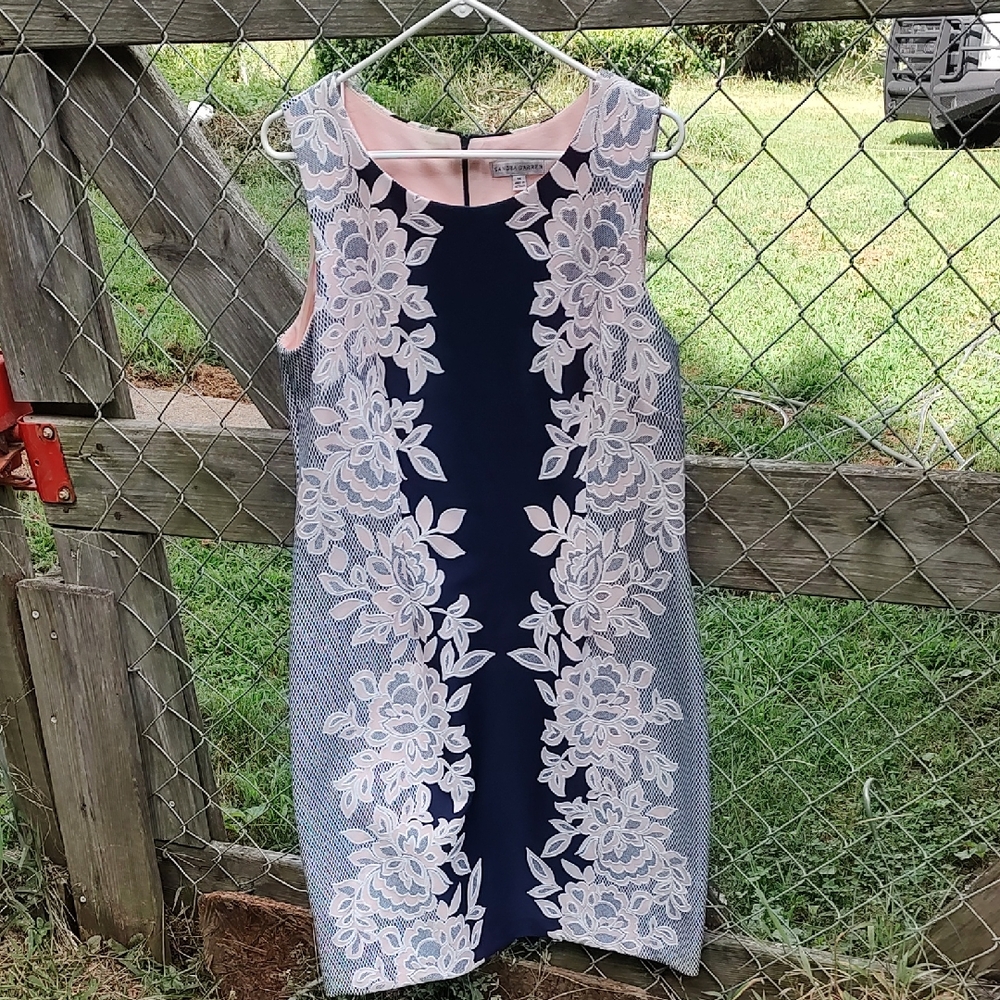 Sandra Darren Navy and Pink Lace Mini Dress